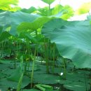 성내농장 이미지