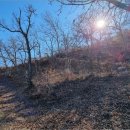 동리보건진료소 이미지