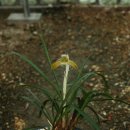 자산동244 이미지