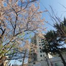 괴정1동할아버지 이미지