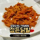 정든닭발
