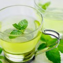 페퍼민트 이미지