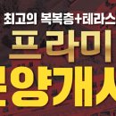 더프라미스
