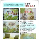 인사이언스 이미지