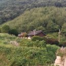 어유소장군 사당 이미지