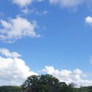 영강체육공원길 이미지