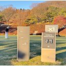 688 | 엘리시안강촌CC 가을·초겨울 라운딩 후기｜10월에 반하고 11월에 또 간 이유