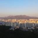 우리동네아구찜떡볶이 이미지