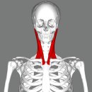 경희진평한의원 이미지