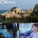 장생포 대왕암 코스 | 국내 뚜벅이여행 울산 시티투어 장생포 대왕암공원 출렁다리