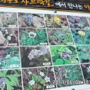 괴곡성벽길 이미지