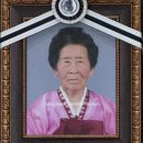슬기로운 얼집생활 704일차 23개월아기 팝콘같은 벚꽃이 팡팡 터지는 4월시작