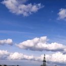 한가족목장 이미지