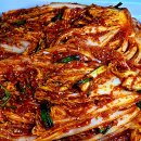 김치랑 이미지