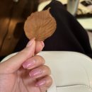 유즈네일 네이버블로그