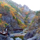 주왕산 절골 만추의 향기를 찾아서 이미지