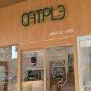 캣플코지눅 시화점 이미지