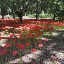 중앙공원 시민광장 이미지