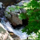 수동계곡 펜션 이미지