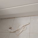 센트라우스(아) 이미지