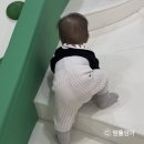 다둥이카서비스 | 서울형키즈카페 성북구 보문동점 주차 예약 후기 (신규오픈 서울형 키카 도장깨기 1탄)