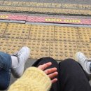 대성여자중학교 이미지