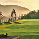 골든베이 이미지