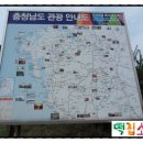고인돌과소나무협동조합 이미지