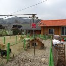 스타켄넬 이미지