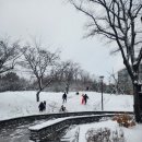 청계동 롯데캐슬 사거리 | 복부인짱 임장스터디 화성 동탄신도시 부동산 매물임장 후기