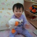 다온오리 이미지