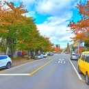 원동온천사우나 이미지