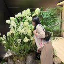 남산팡팡노래연습장 | 임신 25주~임신 30주 기록(둘째임신,입터짐, 입체초음파, 임당검사, 백일해주사,변비)