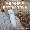반려견 셀프미용 | 여름철 강아지 미용, 털 빡빡 밀면 시원할까? (현실적인 셀프 미용 실패 후기)