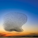 오리여행 이미지