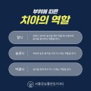 성거치과 이미지
