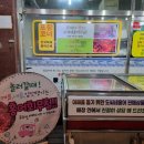 도씨네홍어