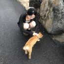 해군목장 | 자유를 찾아 떠난 제주도