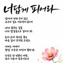 너답게 피어라 / 이수만시인 (사)서울시소기업소상공인연합회 초대회장 이미지