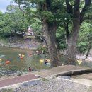 쉴만한 민박 네이버블로그