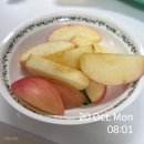 성심세탁 | 갑차기스러운데 다이어트 취소해도 되?