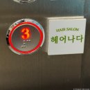 헤어나다 | 일상에 녹아든 변화, 연신내미용실 헤어나다에서 만난 새로운 스타일
