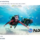 OK 다이브리조트 | 제주도 스쿠버다이빙 원데이 클래스 우리동네 잠수하는 형들 | 함덕 PADI 스쿠버 다이빙 초보 체험 후기