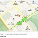 펠리아헤어 이미지
