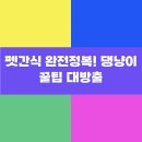 황금 펫 수제간식 이미지