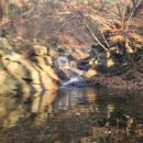 무네미로 이미지