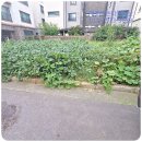 조은땅공인중개사사무소 이미지