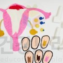 주식회사 건강노리