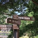 대구 수성구 진밭골산림공원 이미지