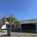 795 | [제주도/서귀포] LUSH 러쉬 제주점 :: 황우치 해변에 오픈한 첫 러쉬 매장